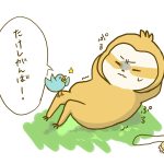 ダイエット４